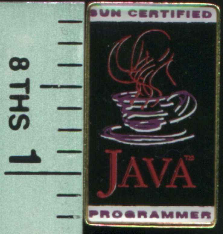 Certified Java Programmer lapel badge